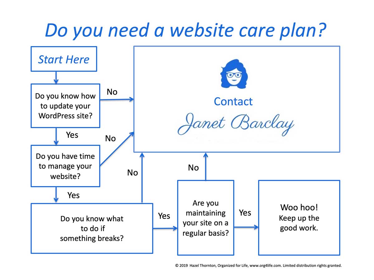 Do you need a website care plan? flowchart